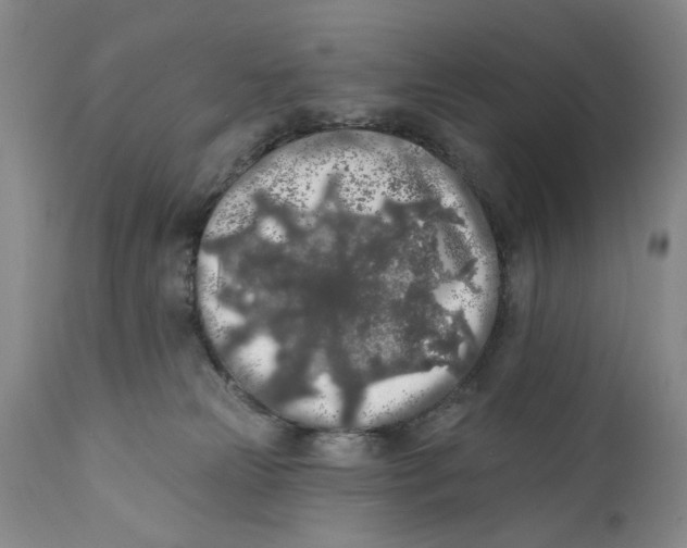 X0000112360181200909101306