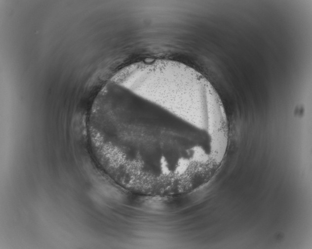X0000112360182200909101306