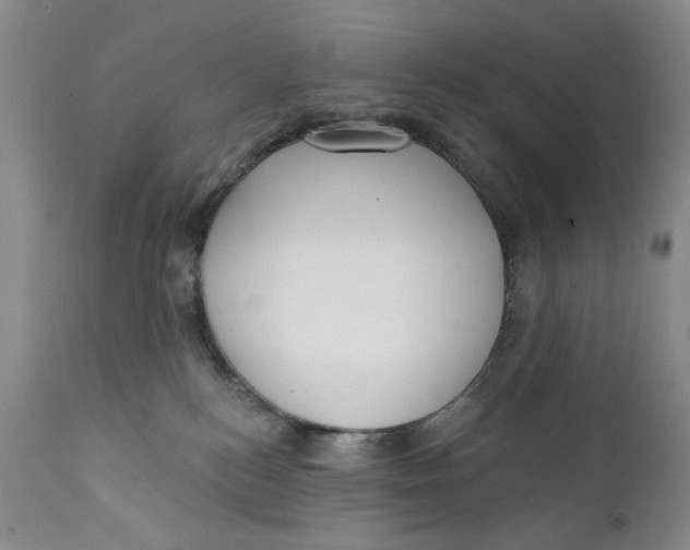 X0000112360184200909101306