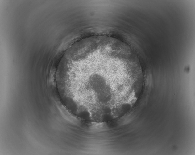 X0000112360185200909101306