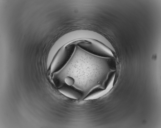 X0000112360186200909101306