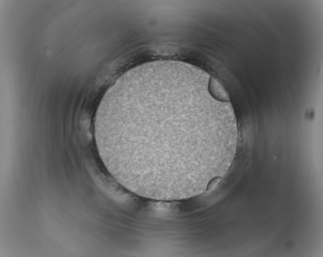 X0000112360187200909101306