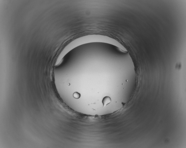 X0000112360188200909101306