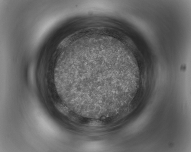 X0000112360189200909101306