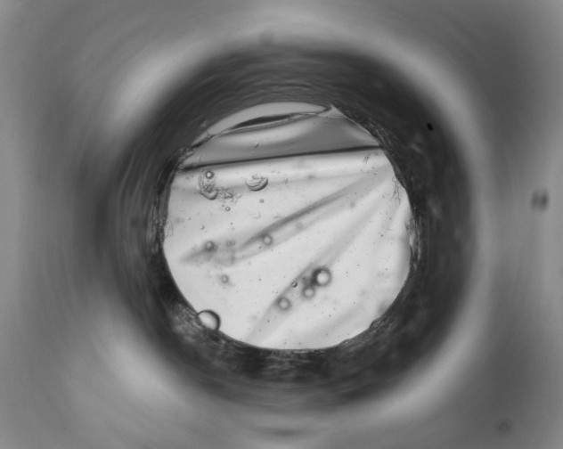 X0000112360190200909101306