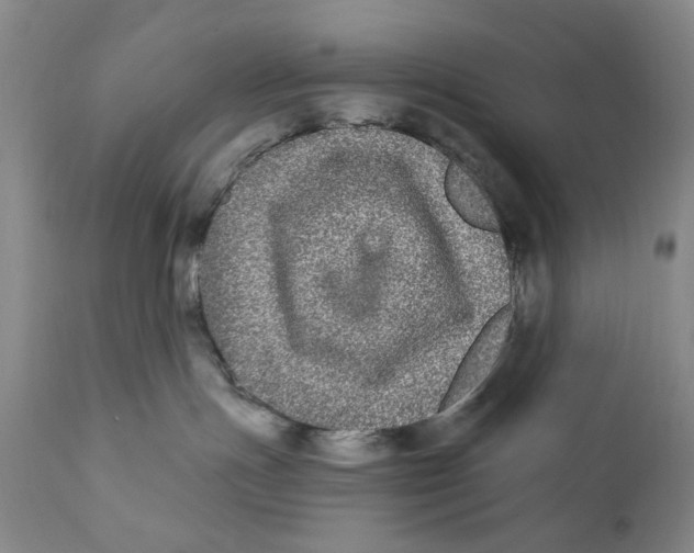 X0000112360191200909101306