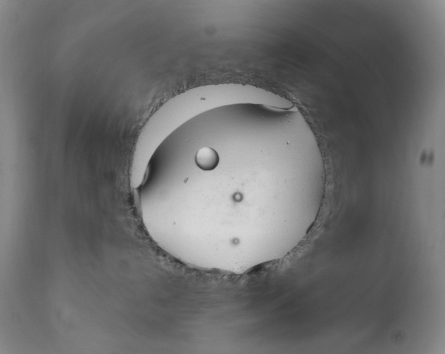 X0000112360192200909101306