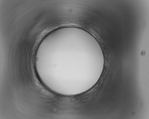 X0000112360193200909101305