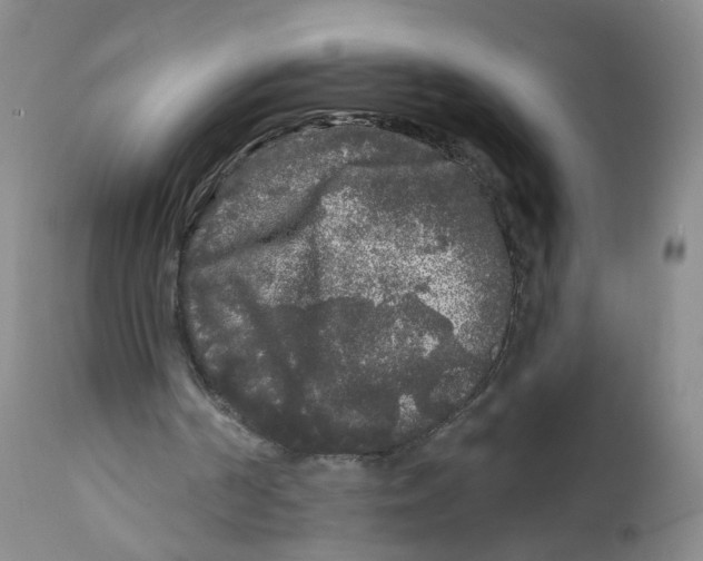 X0000112360194200909101305