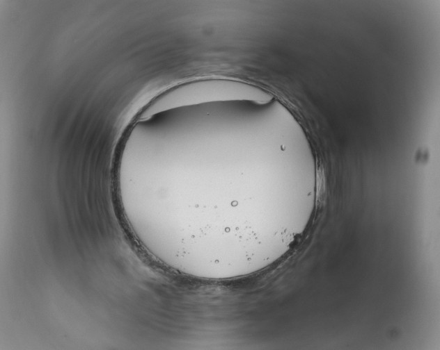 X0000112360195200909101305