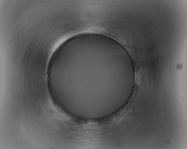 X0000112360196200909101305