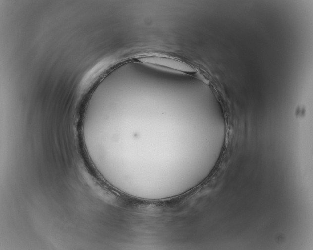 X0000112360197200909101305