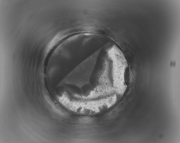 X0000112360198200909101305