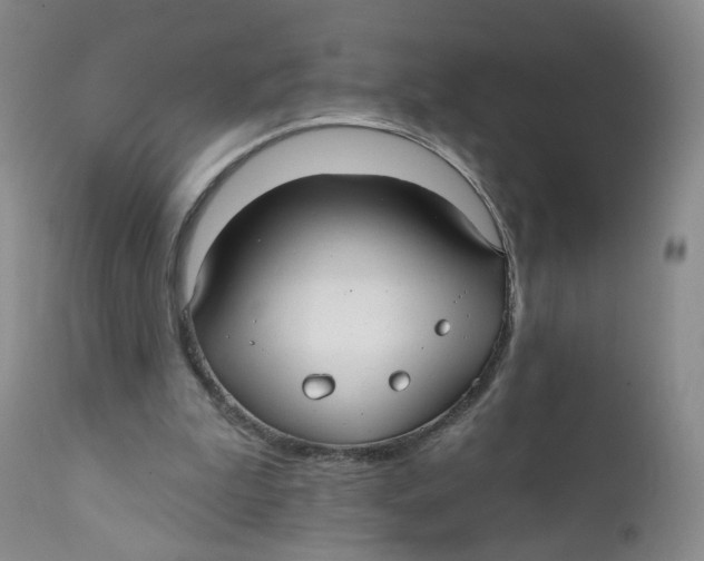 X0000112360199200909101305