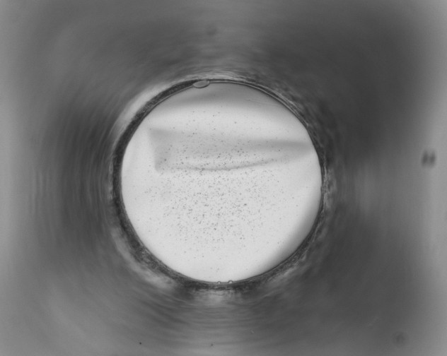 X0000112360200200909101305