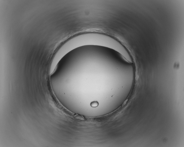 X0000112360201200909101305