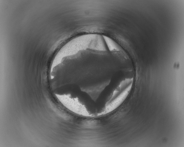X0000112360202200909101305