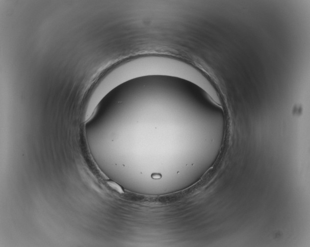 X0000112360203200909101305