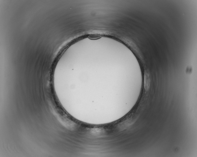 X0000112360204200909101305