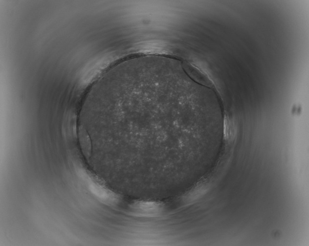 X0000112360205200909101305