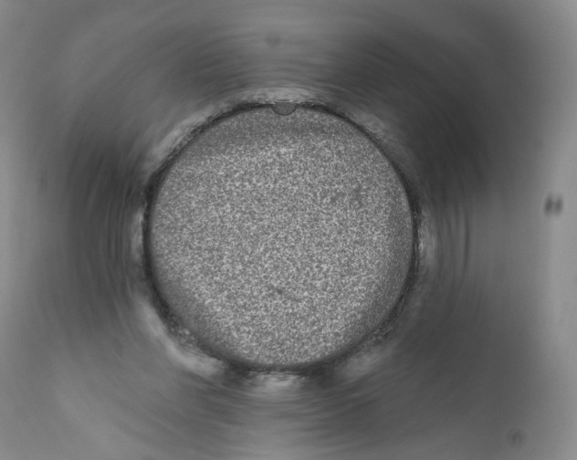X0000112360206200909101305