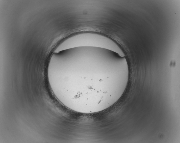 X0000112360207200909101305