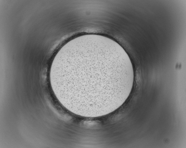 X0000112360208200909101305