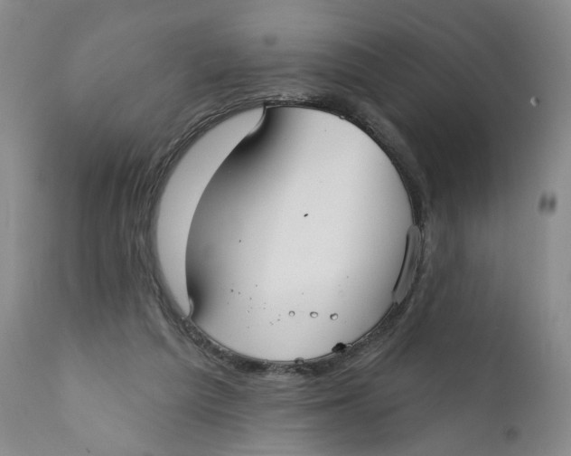 X0000112360209200909101305