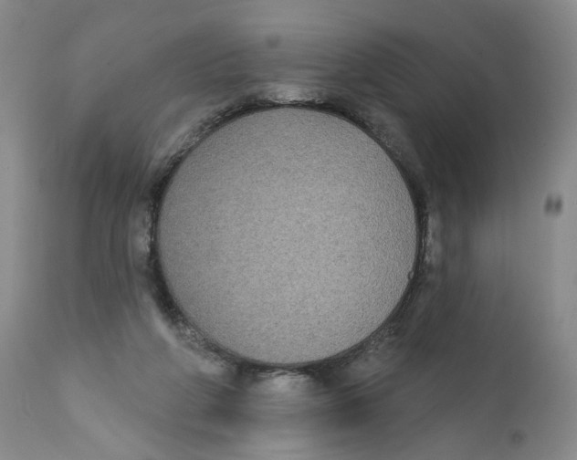 X0000112360210200909101305