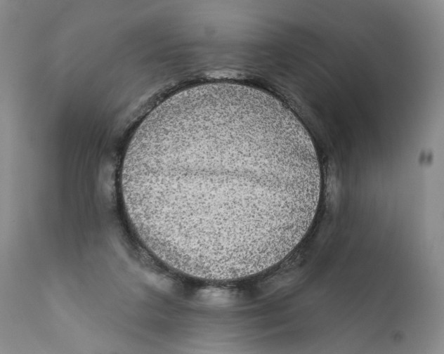 X0000112360211200909101305