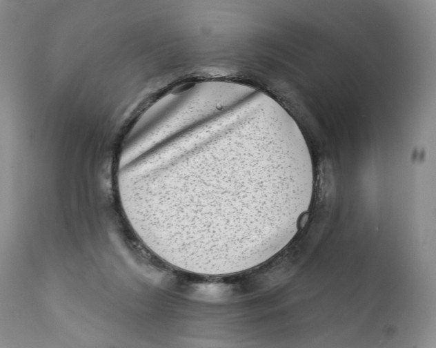 X0000112360212200909101305