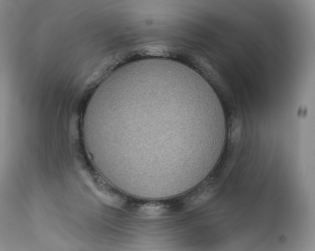 X0000112360213200909101305
