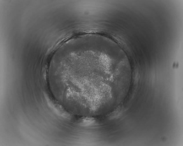 X0000112360214200909101305