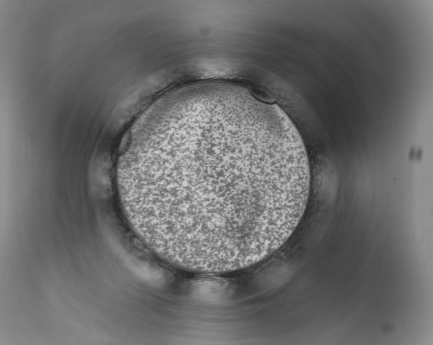 X0000112360215200909101305