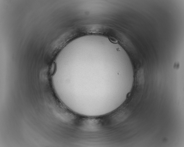 X0000112360217200909101305