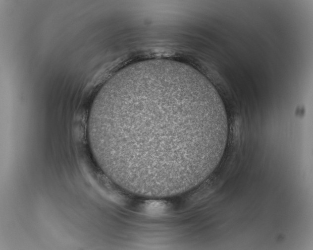 X0000112360218200909101305