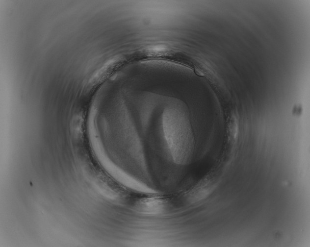 X0000112360219200909101305