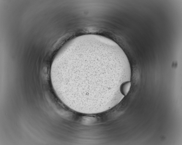 X0000112360220200909101305