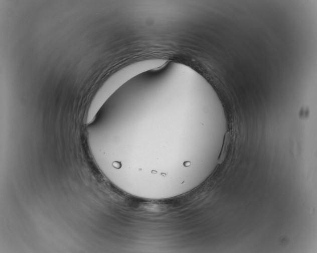 X0000112360221200909101305