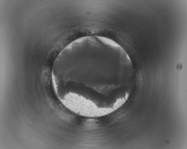 X0000112360222200909101305