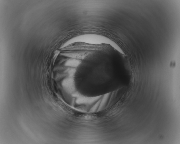 X0000112360223200909101305