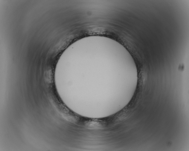 X0000112360224200909101305