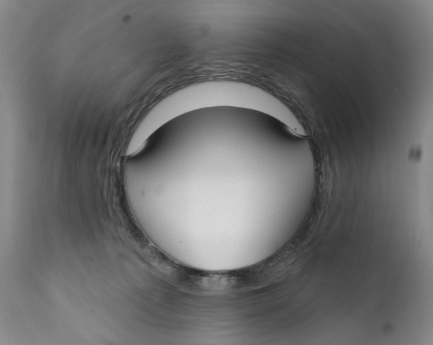 X0000112360225200909101305
