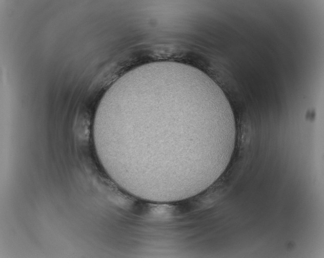 X0000112360226200909101305