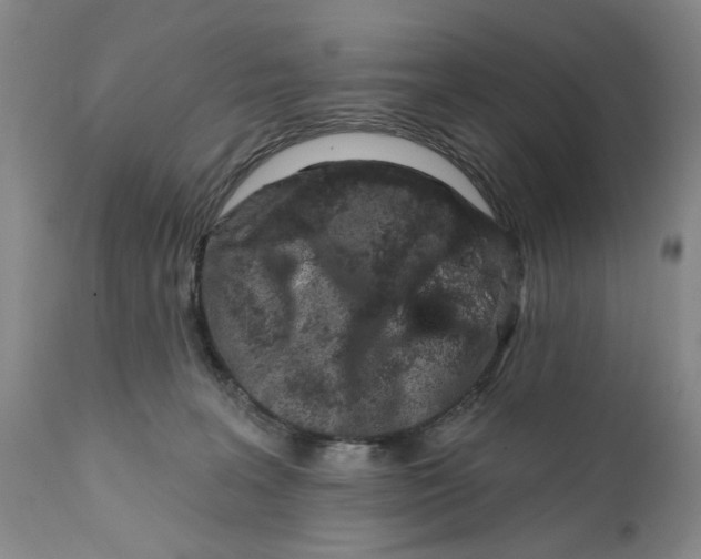 X0000112360227200909101305
