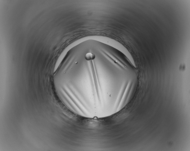 X0000112360229200909101305