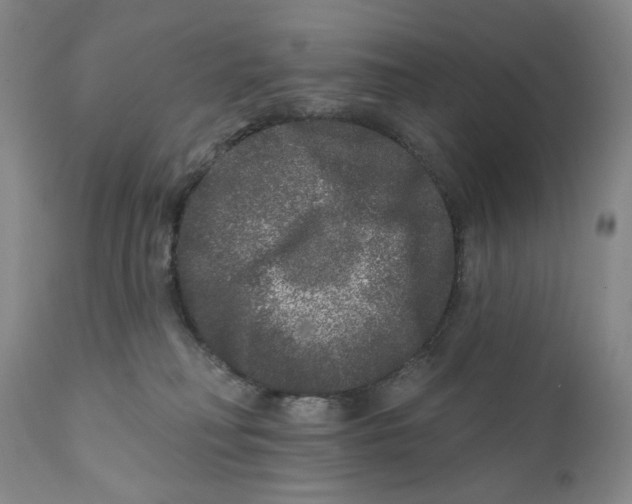 X0000112360230200909101305