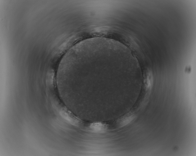 X0000112360231200909101305