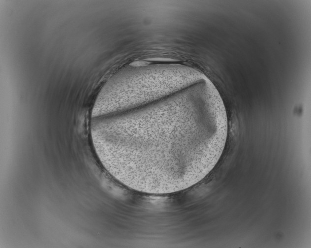 X0000112360233200909101305