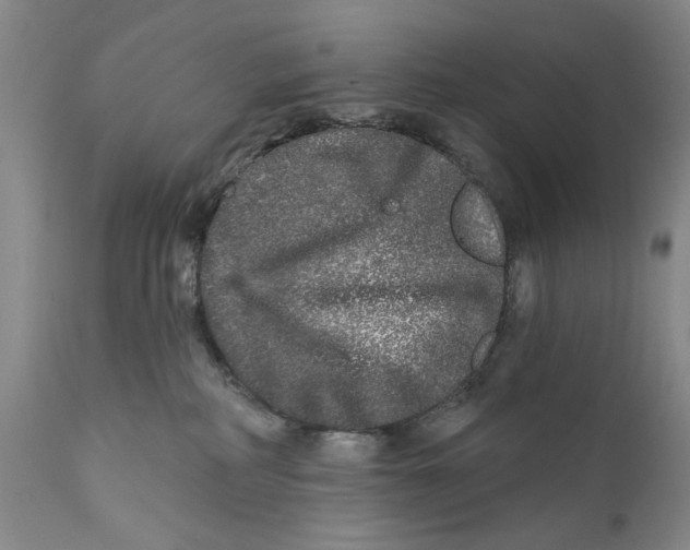 X0000112360234200909101305